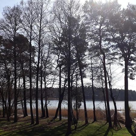 Haus Wilma Gruene Idylle Im Wald Direkt Am See Wendisch Rietz Ngoại thất bức ảnh