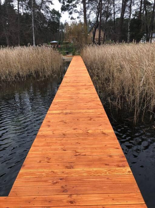 Haus Wilma Gruene Idylle Im Wald Direkt Am See Wendisch Rietz Ngoại thất bức ảnh
