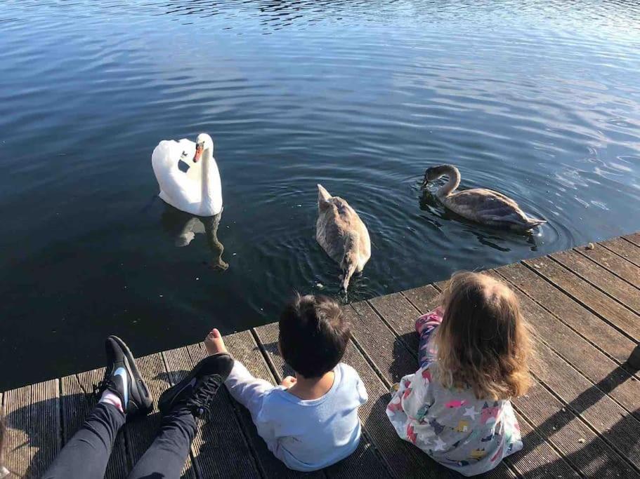 Haus Wilma Gruene Idylle Im Wald Direkt Am See Wendisch Rietz Ngoại thất bức ảnh