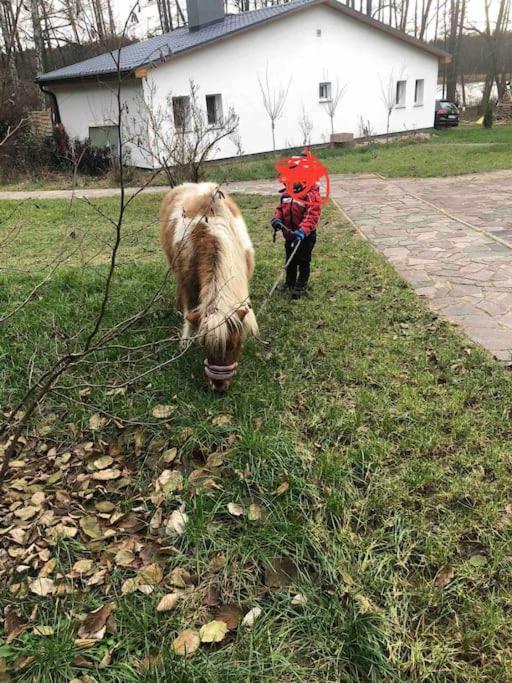 Haus Wilma Gruene Idylle Im Wald Direkt Am See Wendisch Rietz Ngoại thất bức ảnh
