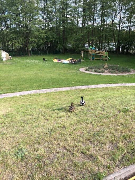 Haus Wilma Gruene Idylle Im Wald Direkt Am See Wendisch Rietz Ngoại thất bức ảnh